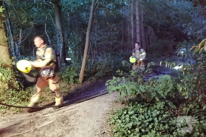 Brand in bosgebied snel geblust