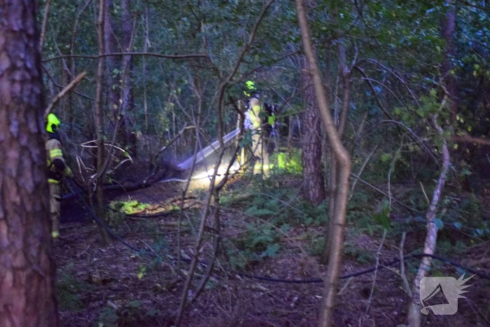 Brand in bosgebied snel geblust