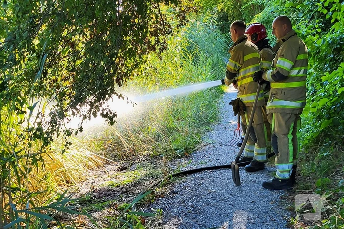 Kleine rietbrand in park