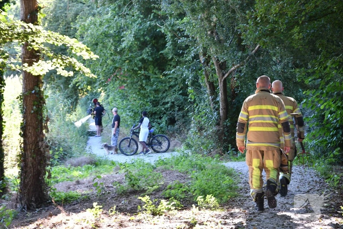 Kleine rietbrand in park