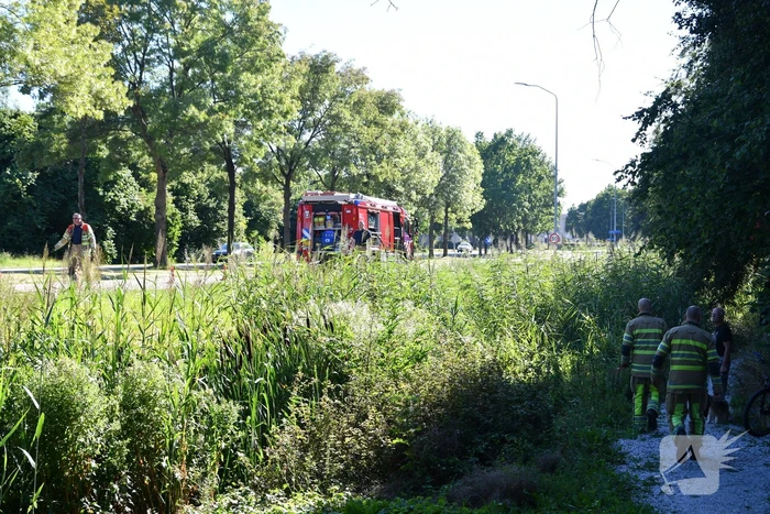 Kleine rietbrand in park