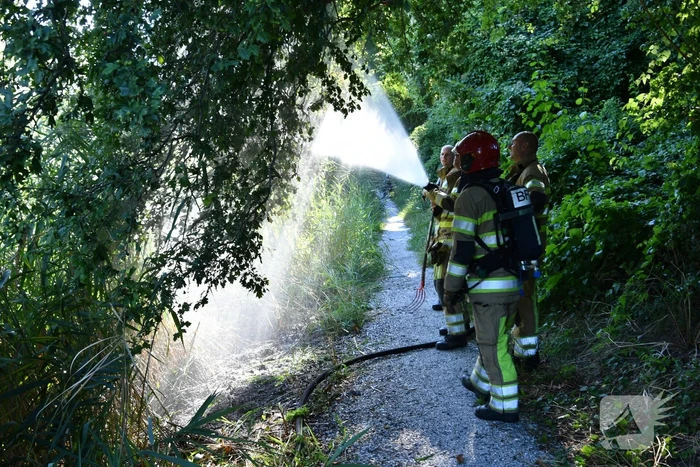 Kleine rietbrand in park
