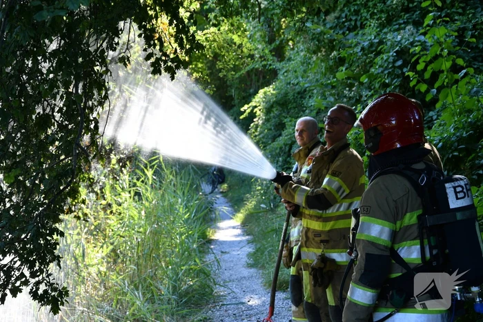 Kleine rietbrand in park