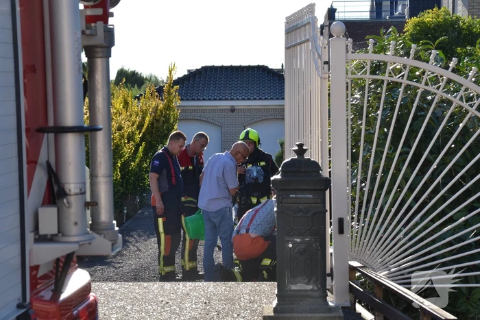 Rookontwikkeling onder de grond in tuin