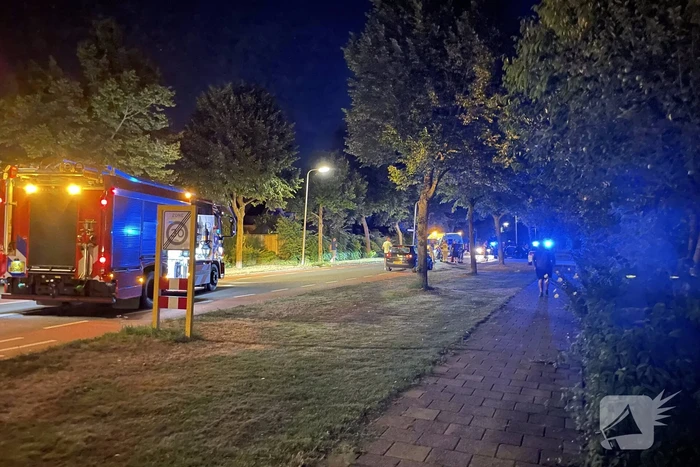 Auto crasht op boom