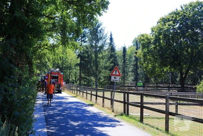 brand zandlaan soest