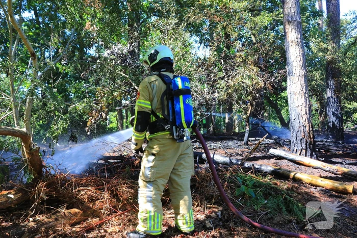 Flinke brand in Monnickenbos