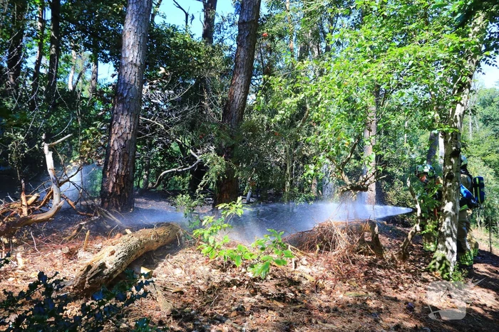 Flinke brand in Monnickenbos