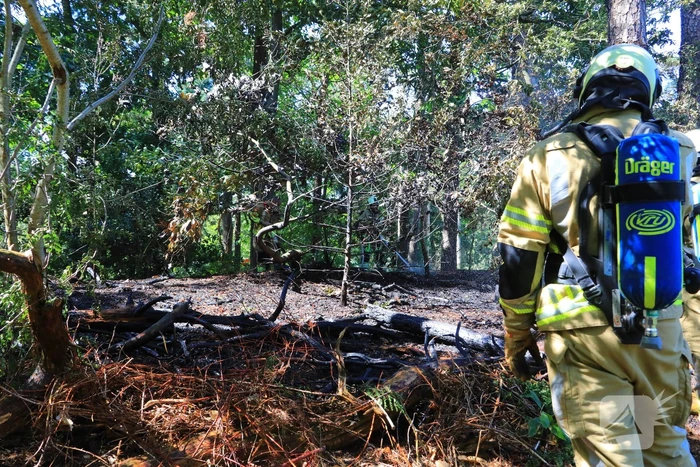 Flinke brand in Monnickenbos