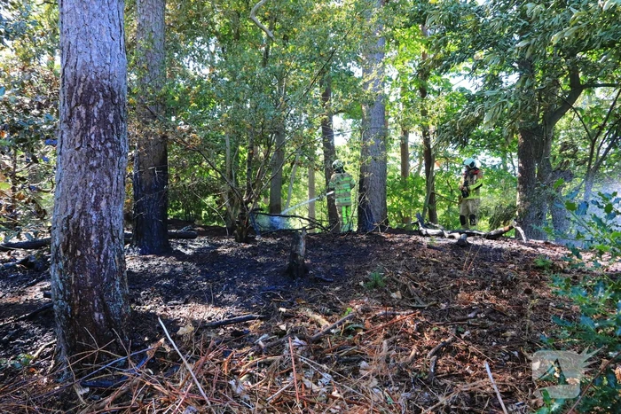 Flinke brand in Monnickenbos
