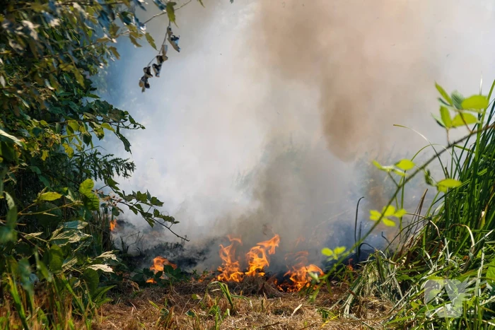 Bosschage Park Groenoord in brand