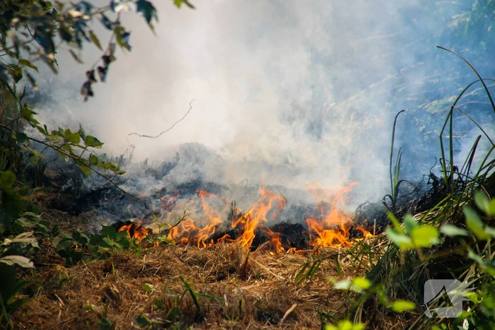 Bosschage Park Groenoord in brand