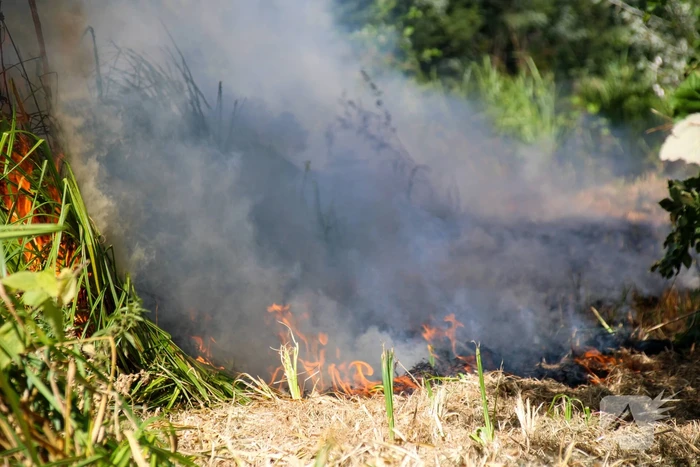 Bosschage Park Groenoord in brand