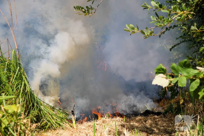 Bosschage Park Groenoord in brand