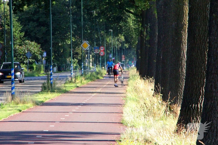 Fietsbanden lek door glas op fietspad