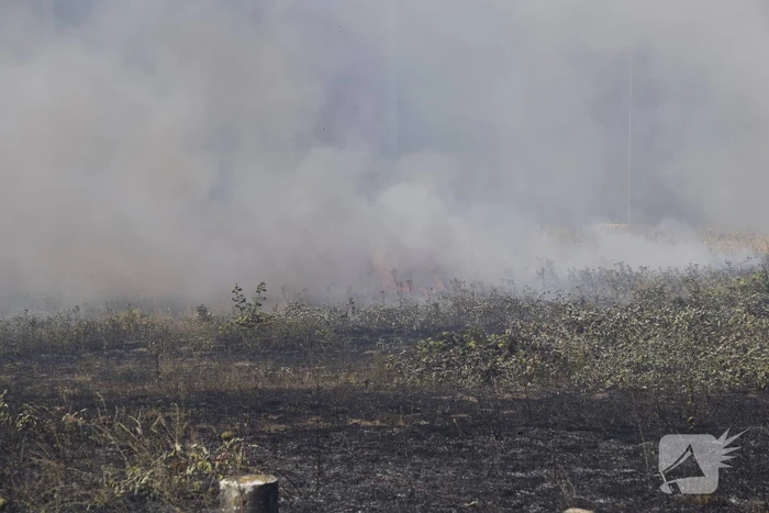 Gras verwoest vanwege brand op braakliggend terrein