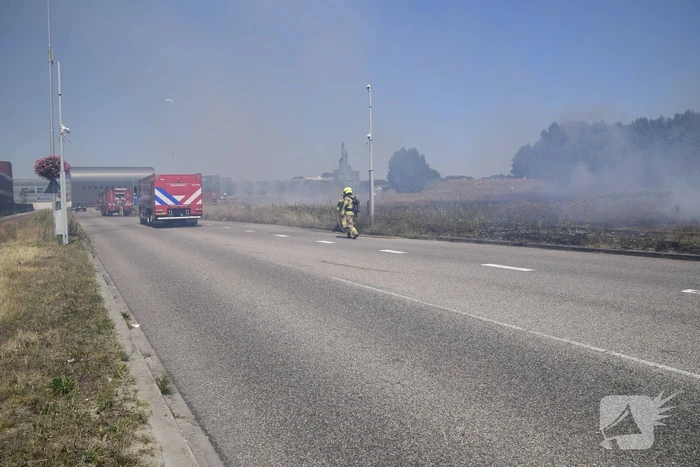 Gras verwoest vanwege brand op braakliggend terrein