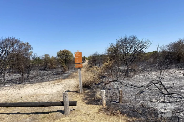 Onderzoek naar duinbrand in volle gang