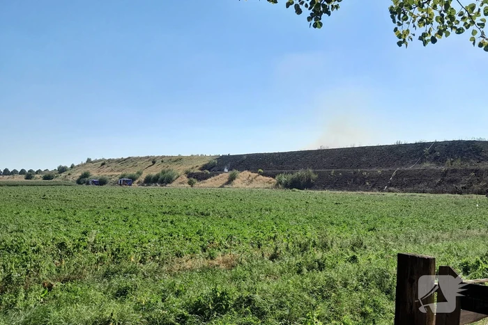 Grote schade bij heidebrand
