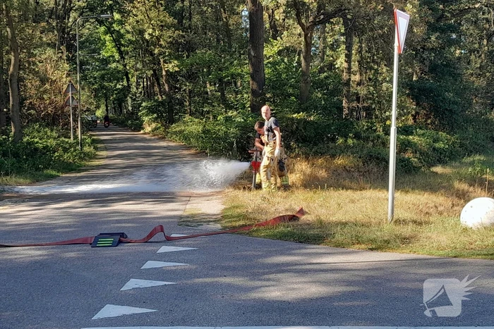 Grote schade bij heidebrand