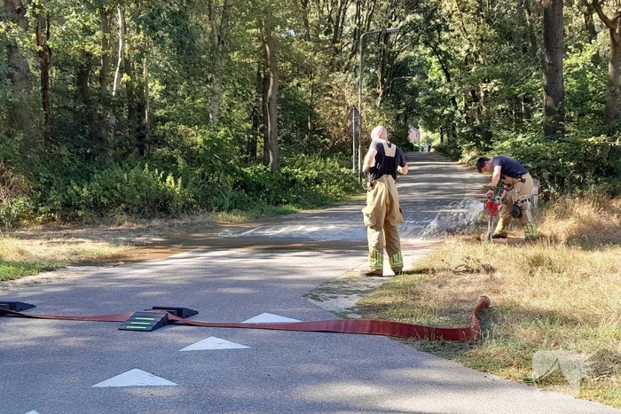 Grote schade bij heidebrand