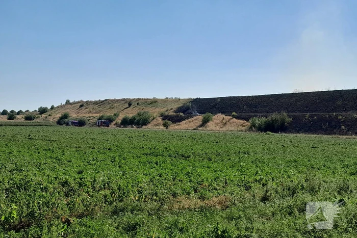 Grote schade bij heidebrand