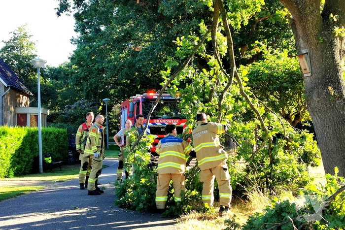 Gevaarlijk hangende tak verwijderd door brandweer