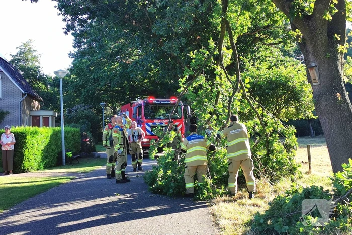 Gevaarlijk hangende tak verwijderd door brandweer