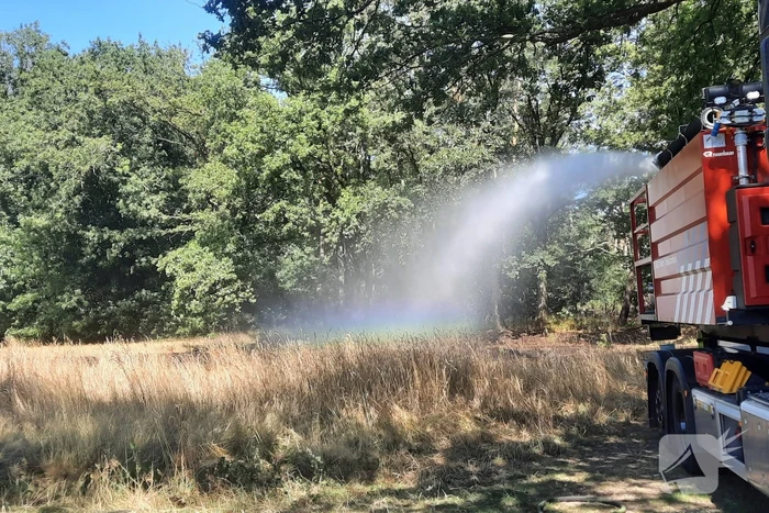 Brandweer blust flinke brand in berm