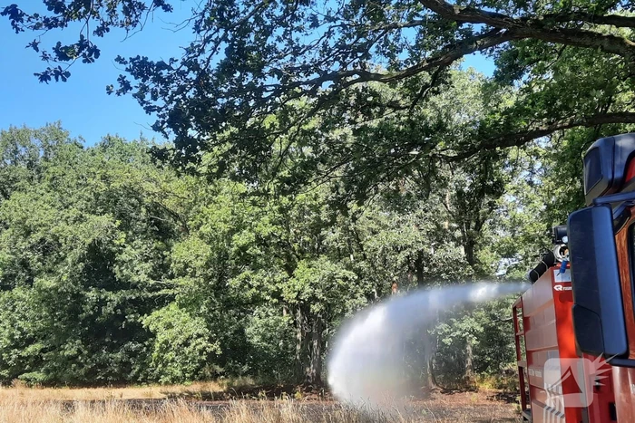 Brandweer blust flinke brand in berm
