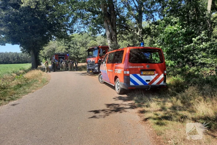 Brandweer blust flinke brand in berm