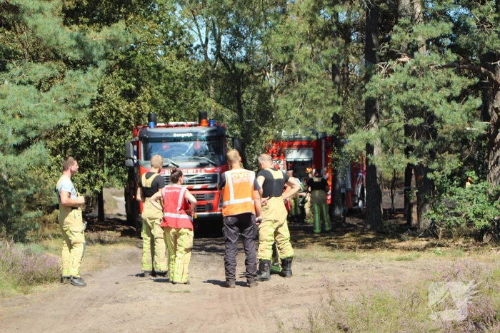 Natuurbrand snel onder controle