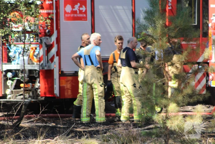 Natuurbrand snel onder controle
