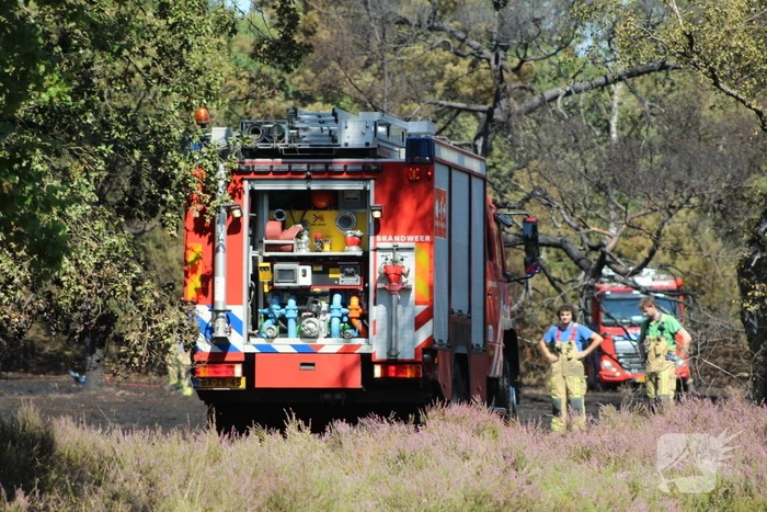 Natuurbrand snel onder controle