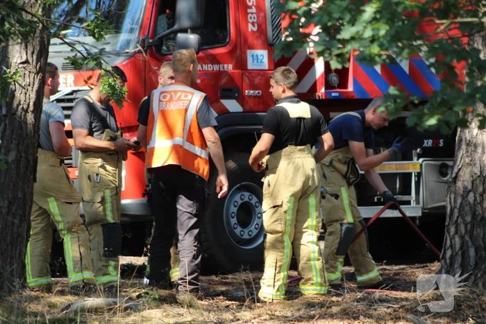 Natuurbrand snel onder controle