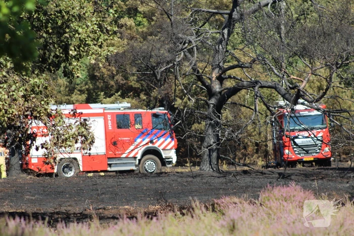 Natuurbrand snel onder controle