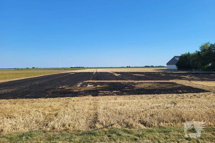 Brand verwoest groot deel akker