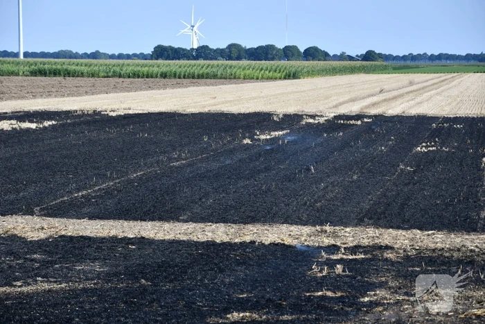 Brand verwoest groot deel akker
