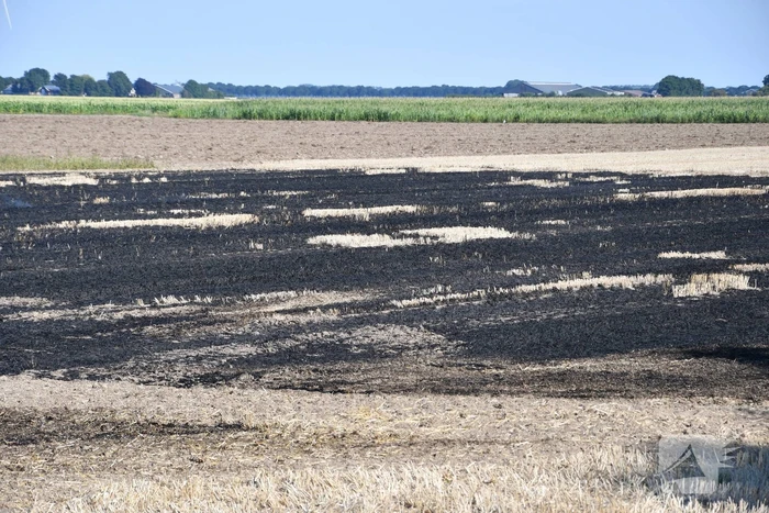 Brand verwoest groot deel akker