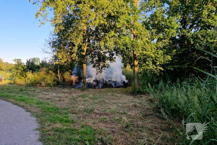 Veel rook bij brand in bosschage