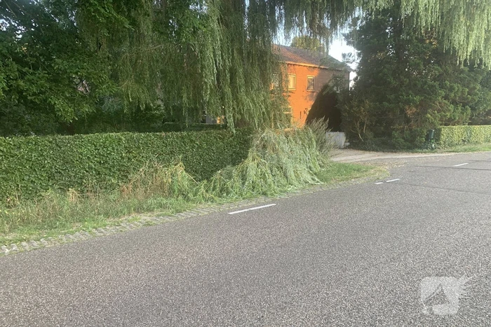 Gevaarlijk hangende tak verwijderd door brandweer