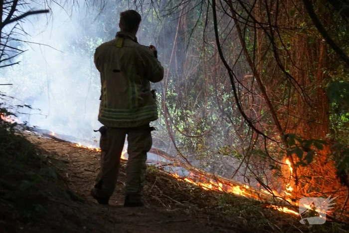 brand merwedepad middelharnis