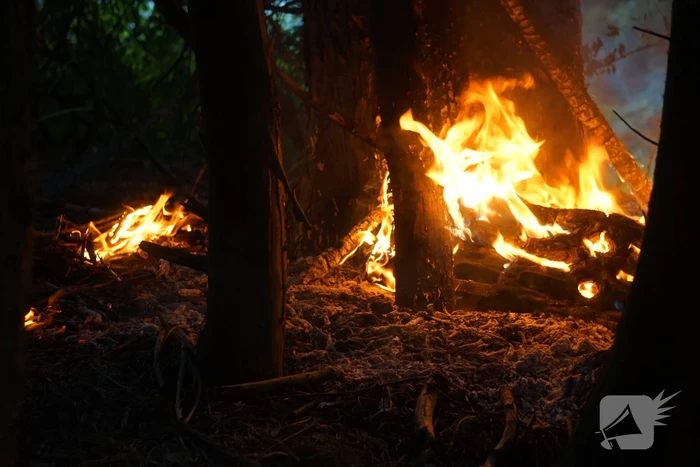 Flinke rookpluimen bij brand in bosgebied