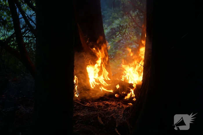 Flinke rookpluimen bij brand in bosgebied