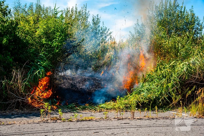 Brandweer blust flinke natuurbrand