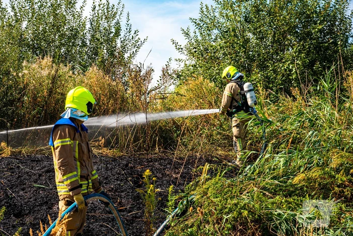Brandweer blust flinke natuurbrand