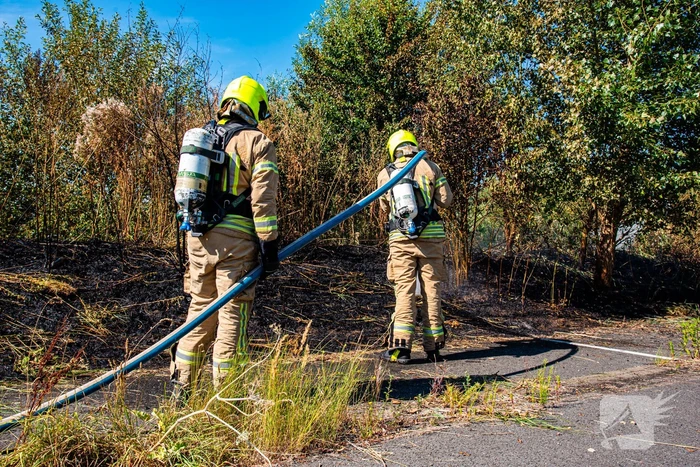 Brandweer blust flinke natuurbrand