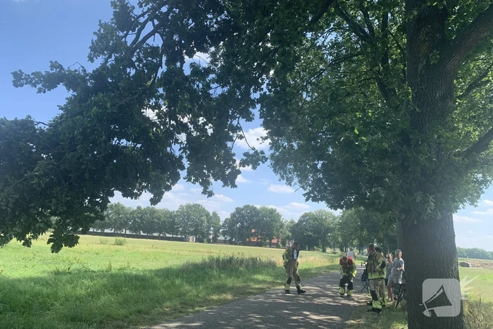 natuur kuilenweg bruchterveld