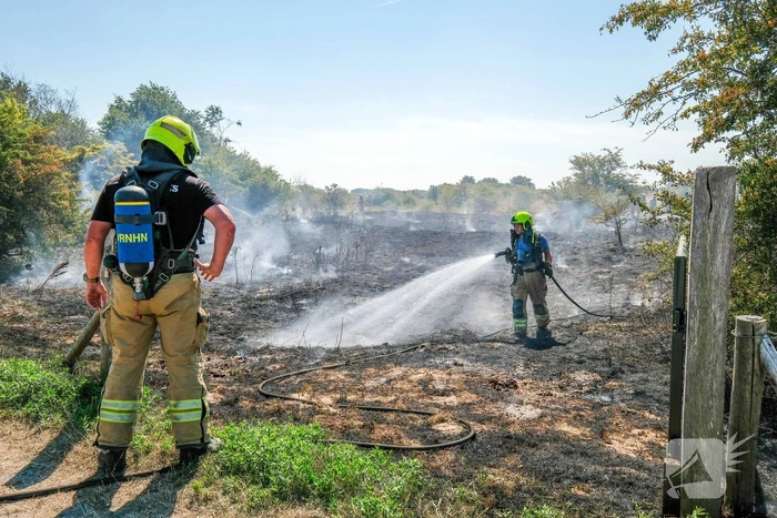 Duinbrand snel onder controle