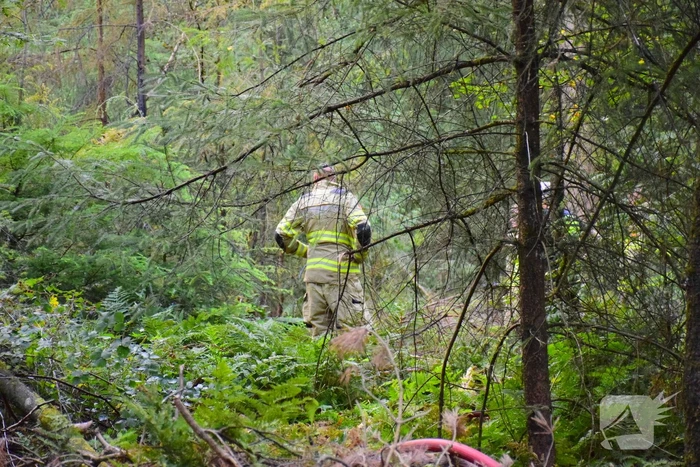 100 vierkante meter natuur verwoest vanwege brand